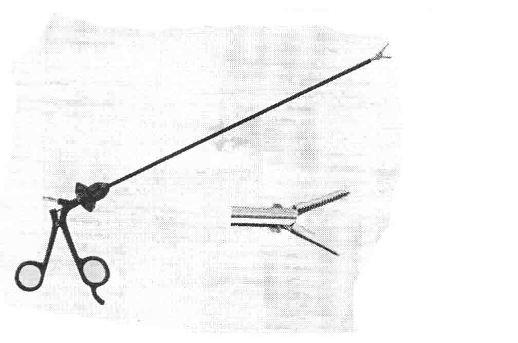 DİSEKSİYON VE KAVRAMA FORSEPS TIRTILLI DİŞ DUBLE ACTİON 5MM